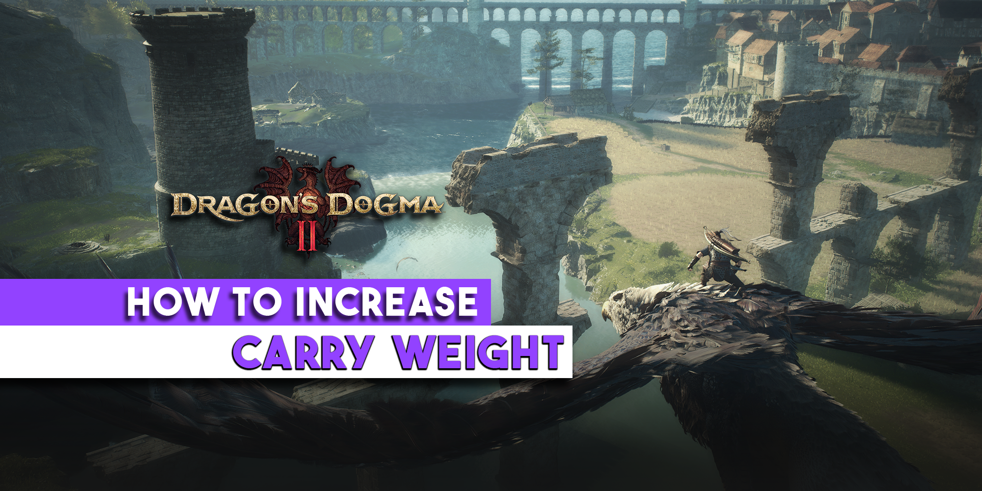 Features-dragonsdogma2 - carry weight